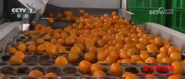 扩总量、促优质 丰富大众“菜篮子”“果盘