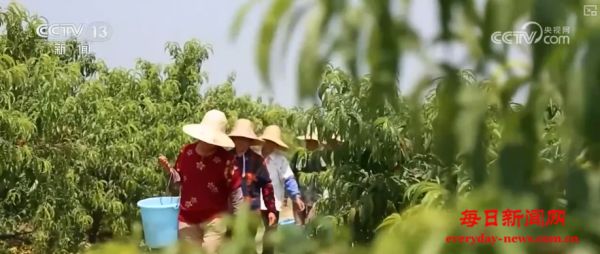 2.57亿公顷、2亿亩、1200亿元……