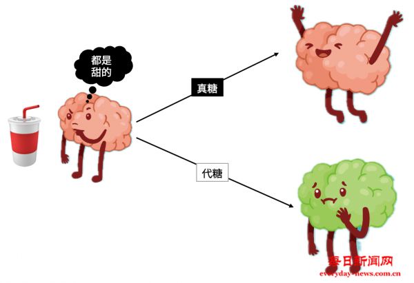 无糖甜饮料真的不能天天喝！最新研究又添有