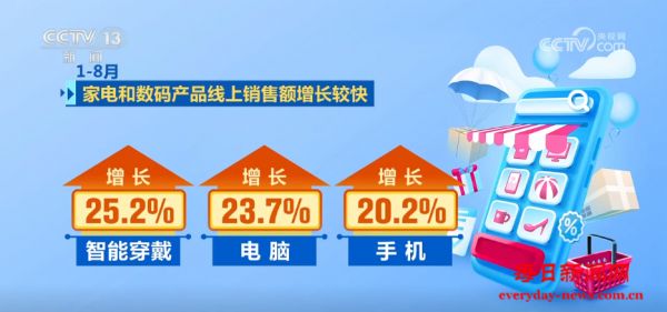 前8个月我国电子商务保持健康较快发展 消