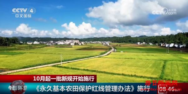 10月起一批新规开始施行 涉及医药、交通