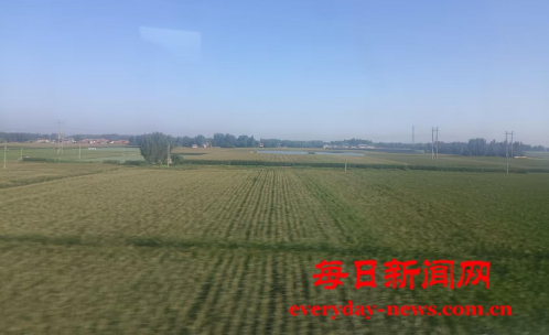 案111111111111.png