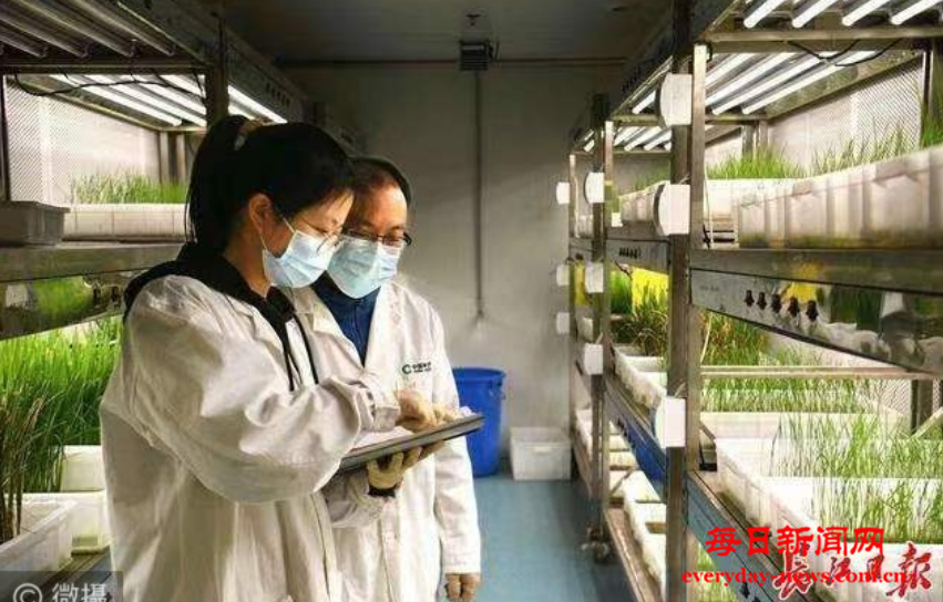 去2222222222222.png 去2222222222222.png