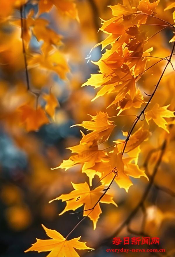 小“券包”跨界串联光影丰富职工文化生活 