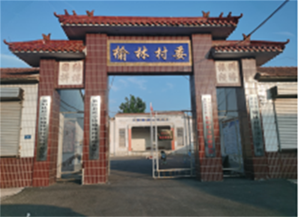 贝333333333333333.png
