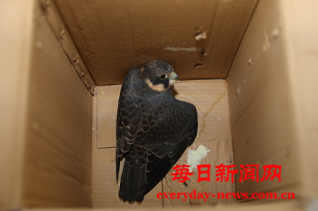 头条1111111111111111.png